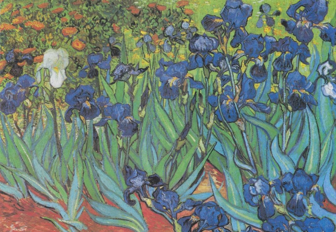 Grafika Puzzle Van Gogh Vincent - Saint-Remy - Les Iris 1000 Teile 32751