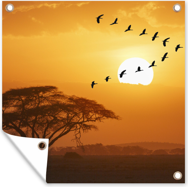 MuchoWow® 50x50 cm Outdoor-Poster Gartendeko Sichtschutz Garten Poster für den Garten Ein Schwarm ägyptischer Gänse über dem kenianischen Nationalpark Amboseli 133|344051287