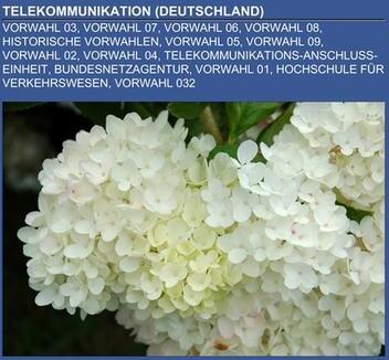 Books LLC Telekommunikation (Deutschland)