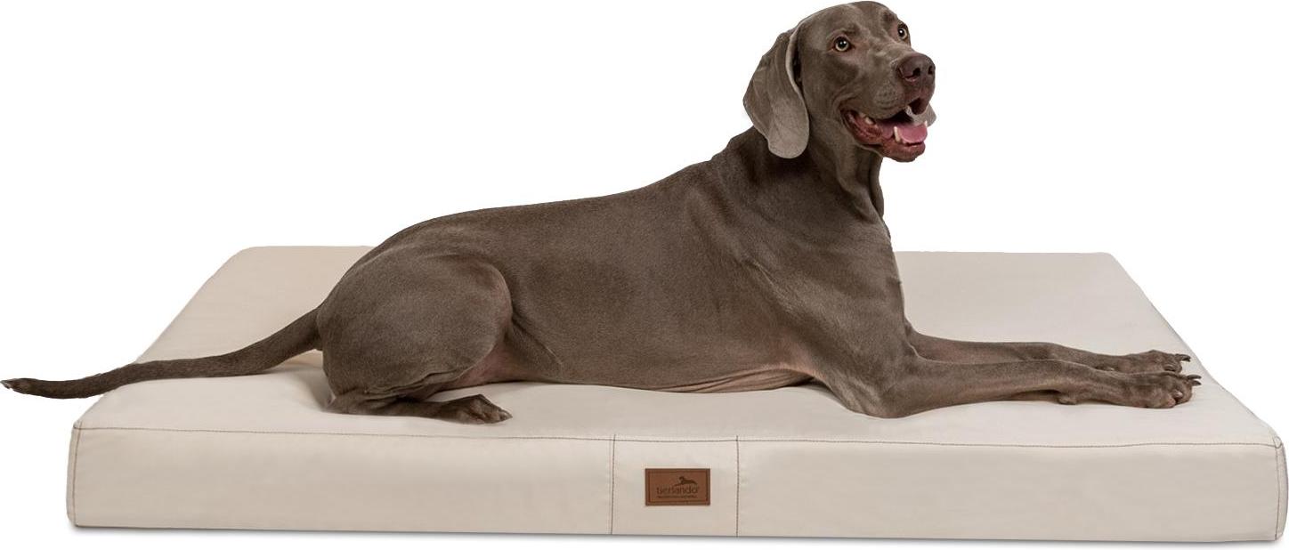 tierlando Hundematratze HUGO BASIC M L XL XXL 80 bis 150 cm - Größe: 80x60cm | Farbe: 05 Creme H3-05