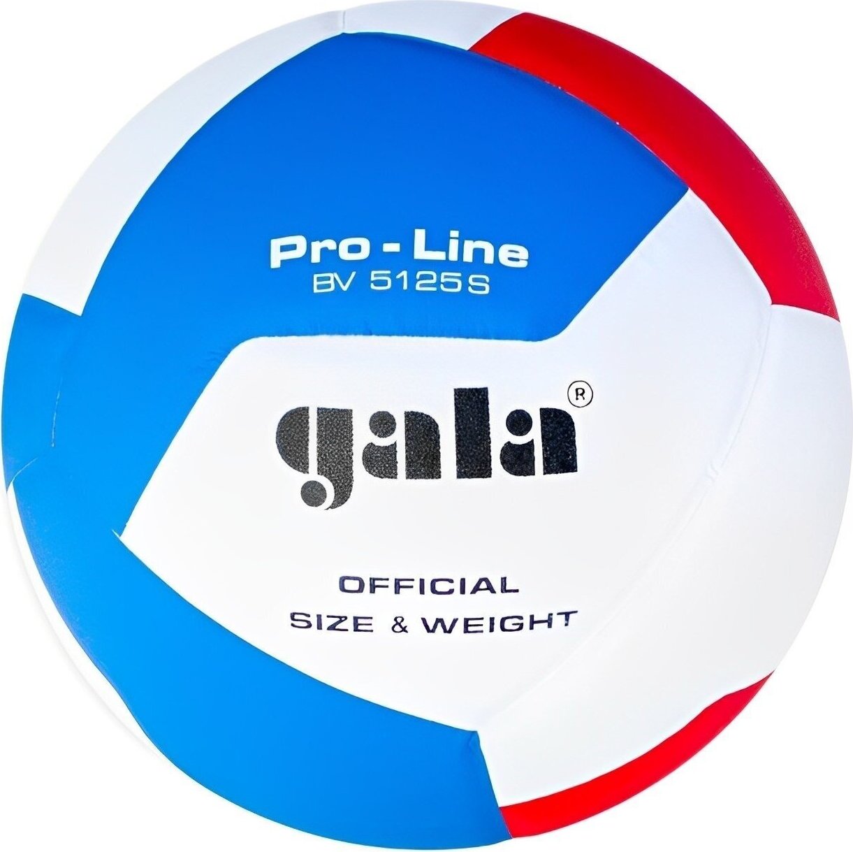 Gala Pro Line 12 Hallenvolleyball BV5125S