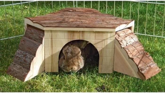 Kerbl Haus Natur Nagetier KER4018653827710