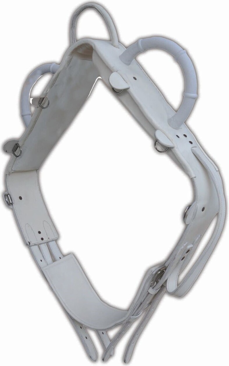 AMKA Voltigiergurt MASTER Gurt zum Voltigieren Voltigierbedarf Gr. Warmblut 057/86, weiss in Weiß