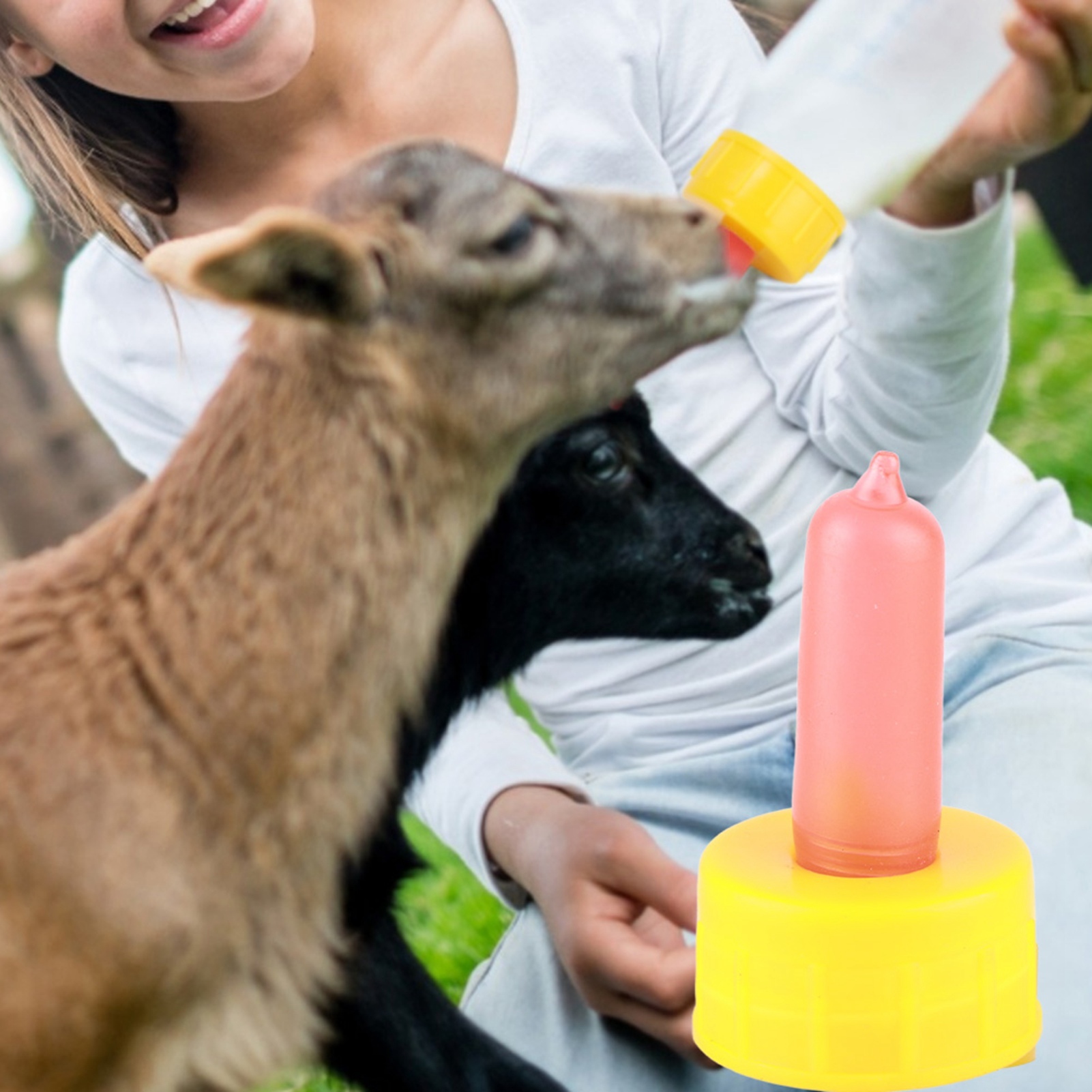 Cocosity Nippel für Schafe,Nippel für Tiere,Nippel für Ziegen,Nippel für Lämmer,Nippel für Schafe