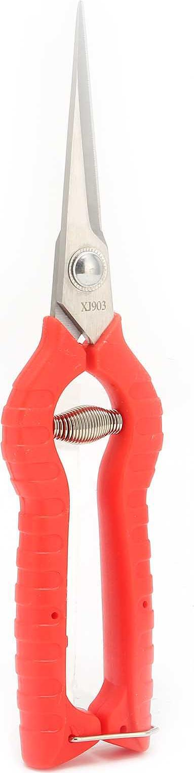 Cocosity Schnittschere Edelstahl Blade Obstbaumzweiste Gemse Trimmschere Gartenwerkzeug