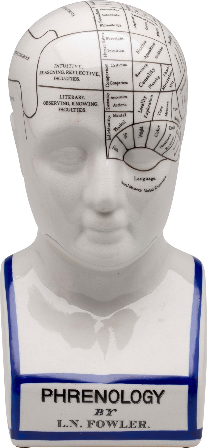 Aubaho Großer 30cm Phrenologie Kopf Büste Anatomie Heilpraktiker Arzt Medizin Fowler