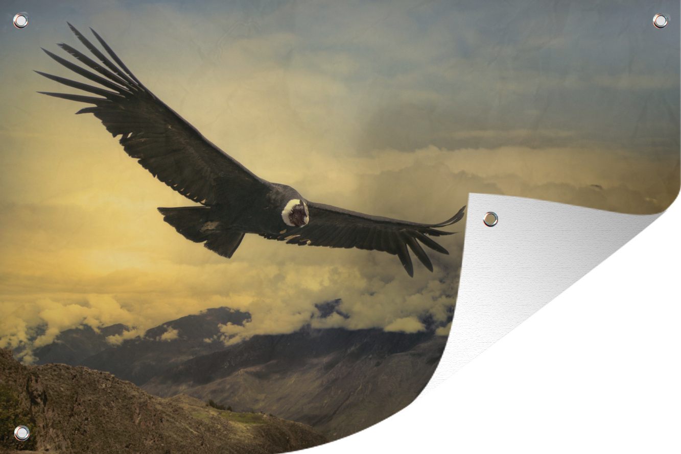 MuchoWow® 90x60 cm Outdoor-Poster Gartendeko Sichtschutz Garten Poster für den Garten Andenkondor im Flug bei Sonnenaufgang 133|1319700