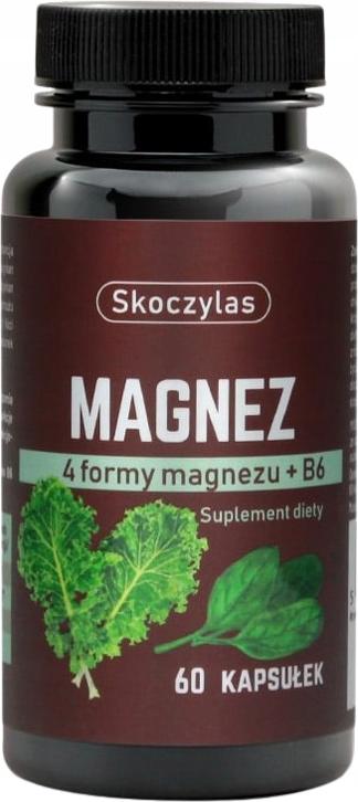 SKOCZYLAS Magnesium 4 Formen - Spinat Grünkohl Vitamin B6 MUSKELKRÄMPFE 60 Kapseln