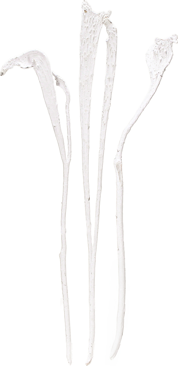 Viana Natraj Geweihholz Mix gebleicht, Dekorative Trockenzweige für Trauerfloristik, Naturprodukt 10 Stück 57672-1719
