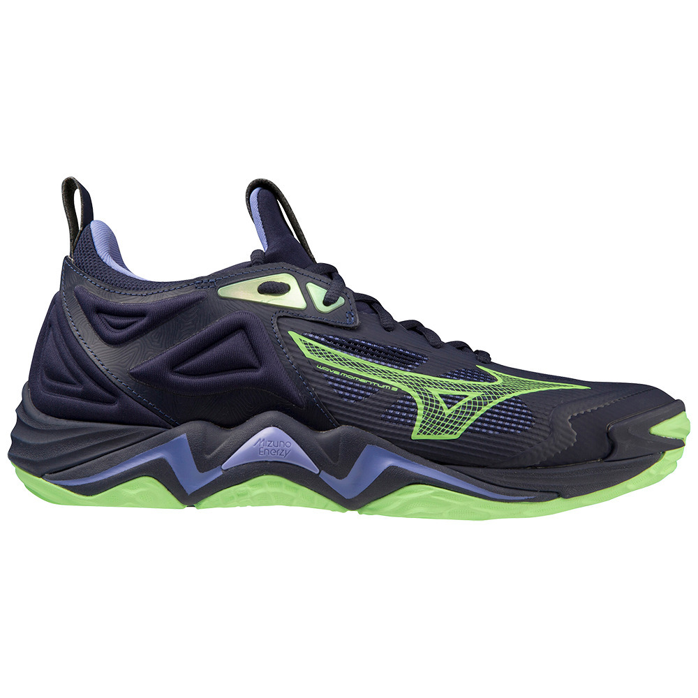 Hallenschuhe Mizuno Wave Momentum 3 V1GA231211