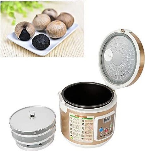 5L Machine Automatique à L'ail Noir Fermenteur Garlic