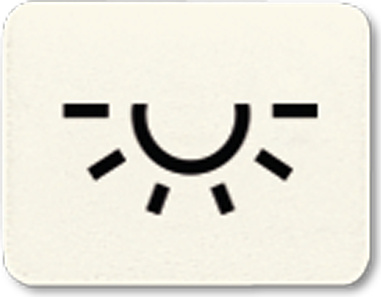 JUNG Symbol 33L Licht