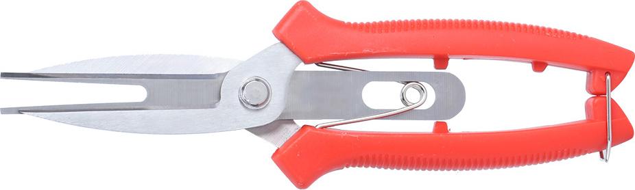 Cocosity Gartenschere Edelstahl -Schnittschere Pflanzenbaumzweige Bltenschnreidewerkzeuge