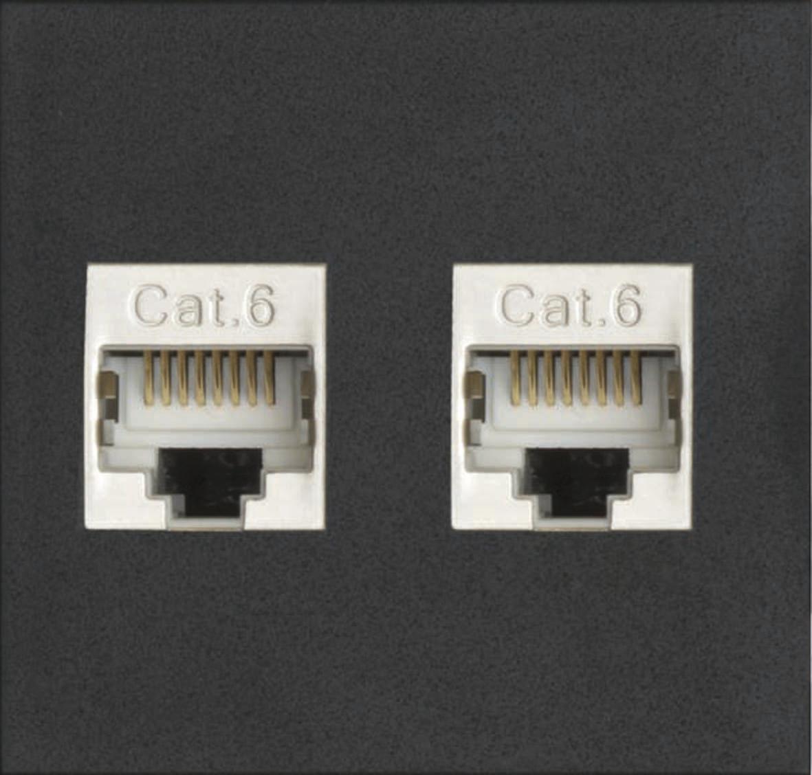 Evoline Wechselmodul 2x RJ45 CAT6 Buchse vorne und hinten, Kunststoff schwarz 1599 0330 0500