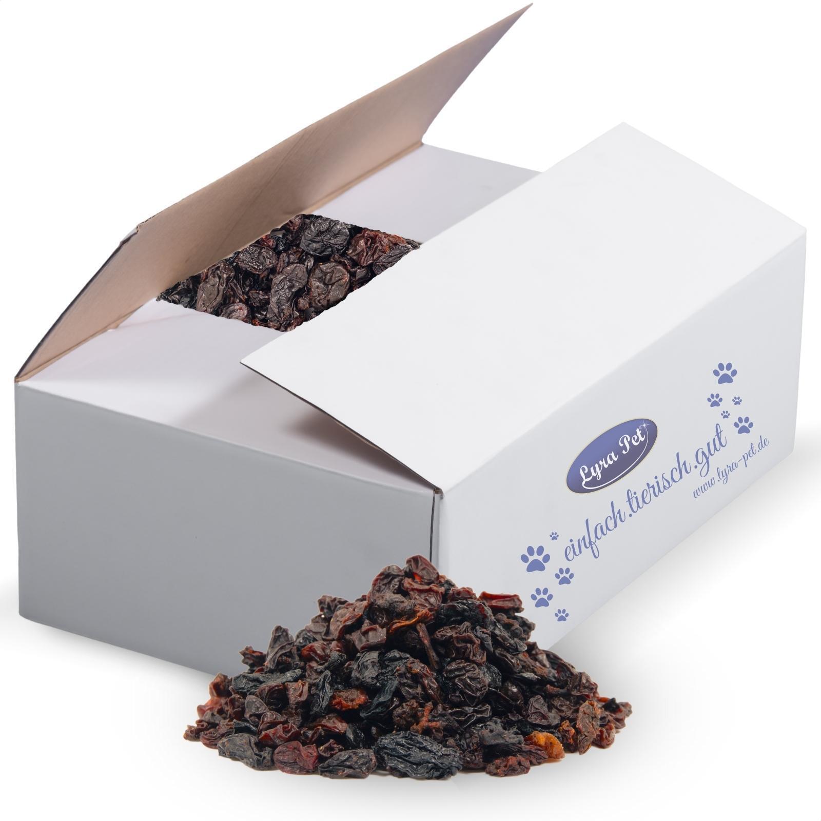 10 kg Lyra Pet® Rosinen 36223-001
