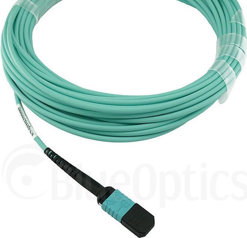 BlueOptics AT-MTP12-1-BO, 1 m, OM3, MTP, MTP