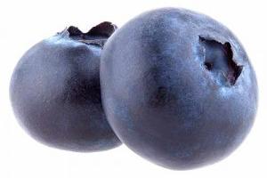Blumen-Senf Vaccinium corymbosum Pioneer - ca. 60 cm - Kulturheidelbeere, Hochbuschige Heidelbeere