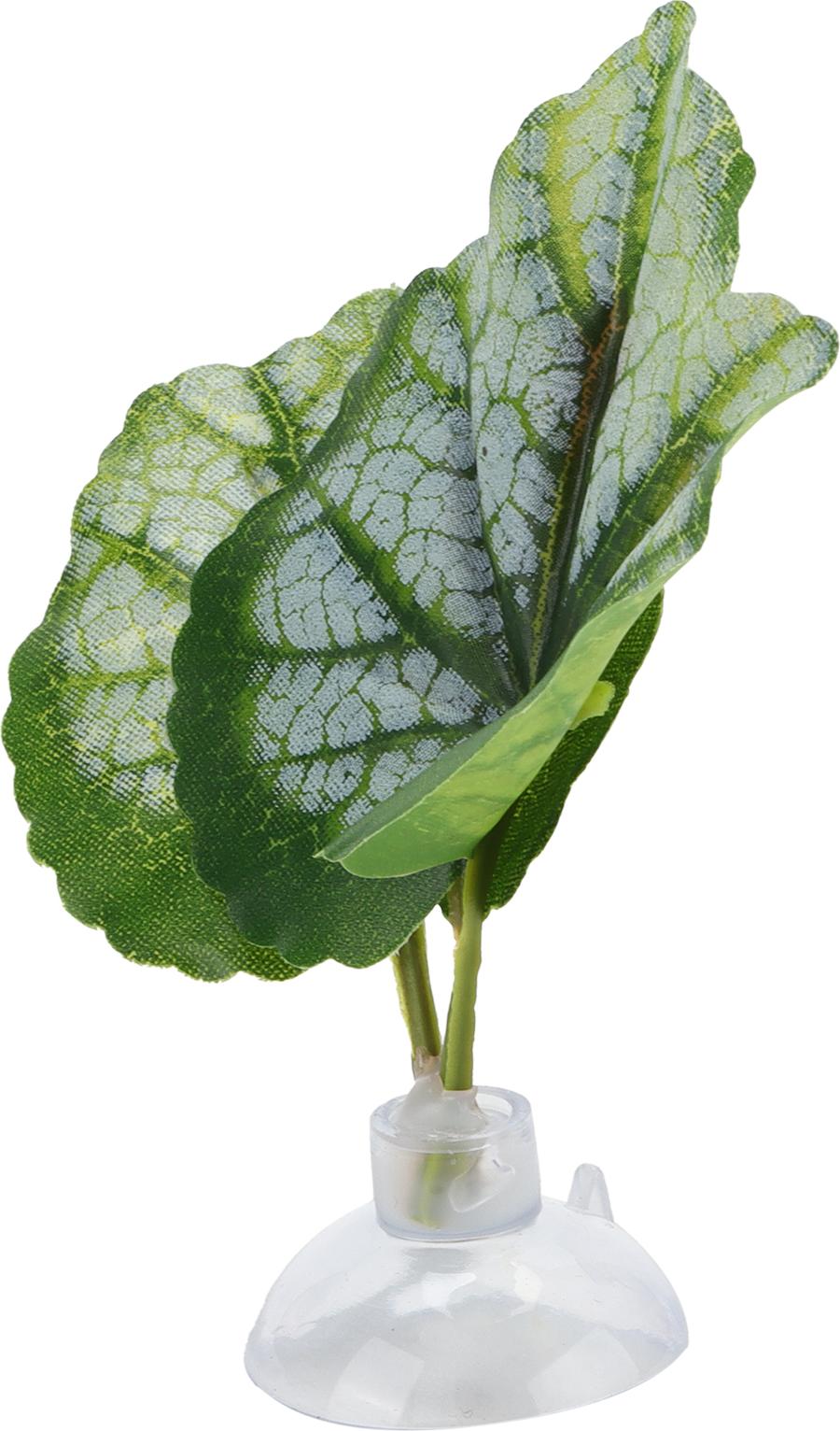 Cocosity Kunststoff-Betta-Blatt, natrlich aussehend, kein unangenehmer Geruch, Saugnapf, Fischsimulation, Blattpolster fr Aquarium fr Aquarium