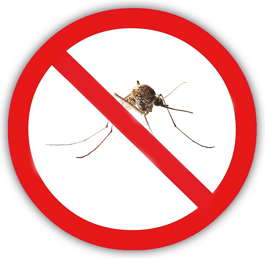 Natural Food Stechmuecken FREI 12505