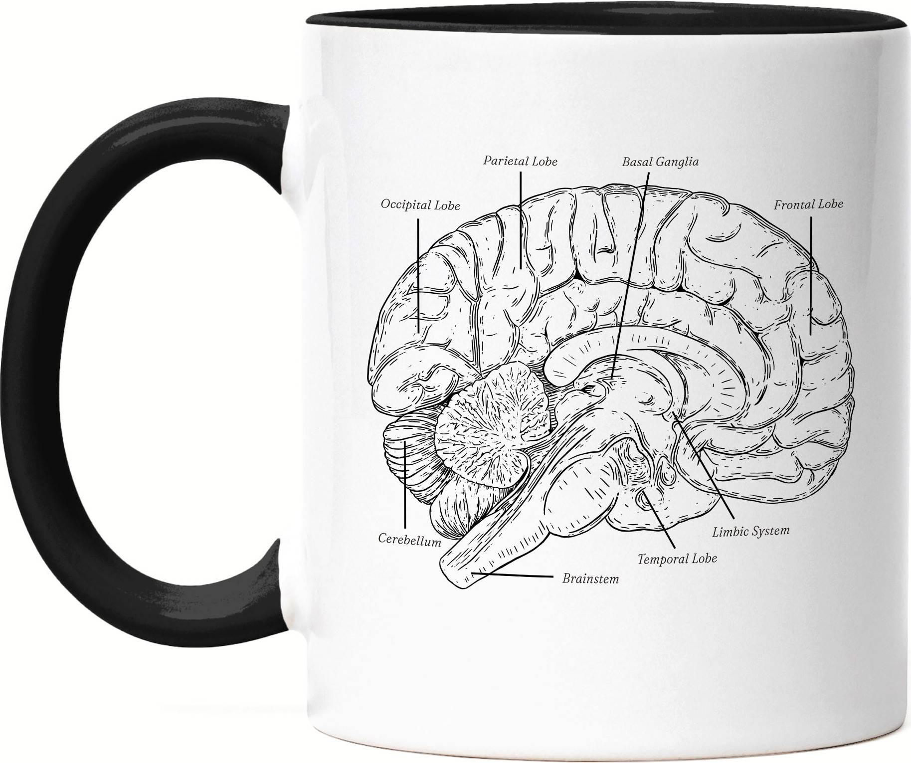 Hey!Print Gehirn Tasse Schwarz Nervensystem Rechte Linke Gehirnhälfte Gedächtnis Hirn Nerven Gehirnzellen Logik Medizin Studium HP-1885-T-Schwarz