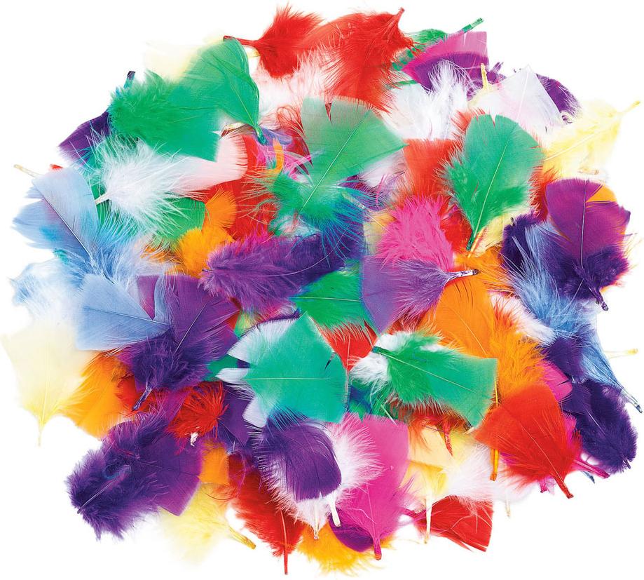 Colorations Färbung - Regenbogenfedern, 85 Gramm CHRFEA