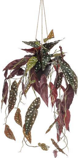 Oasis of Life Kunstpflanze Begonia Maculata Forellenbegonie 80cm Täuschend echt winterhart