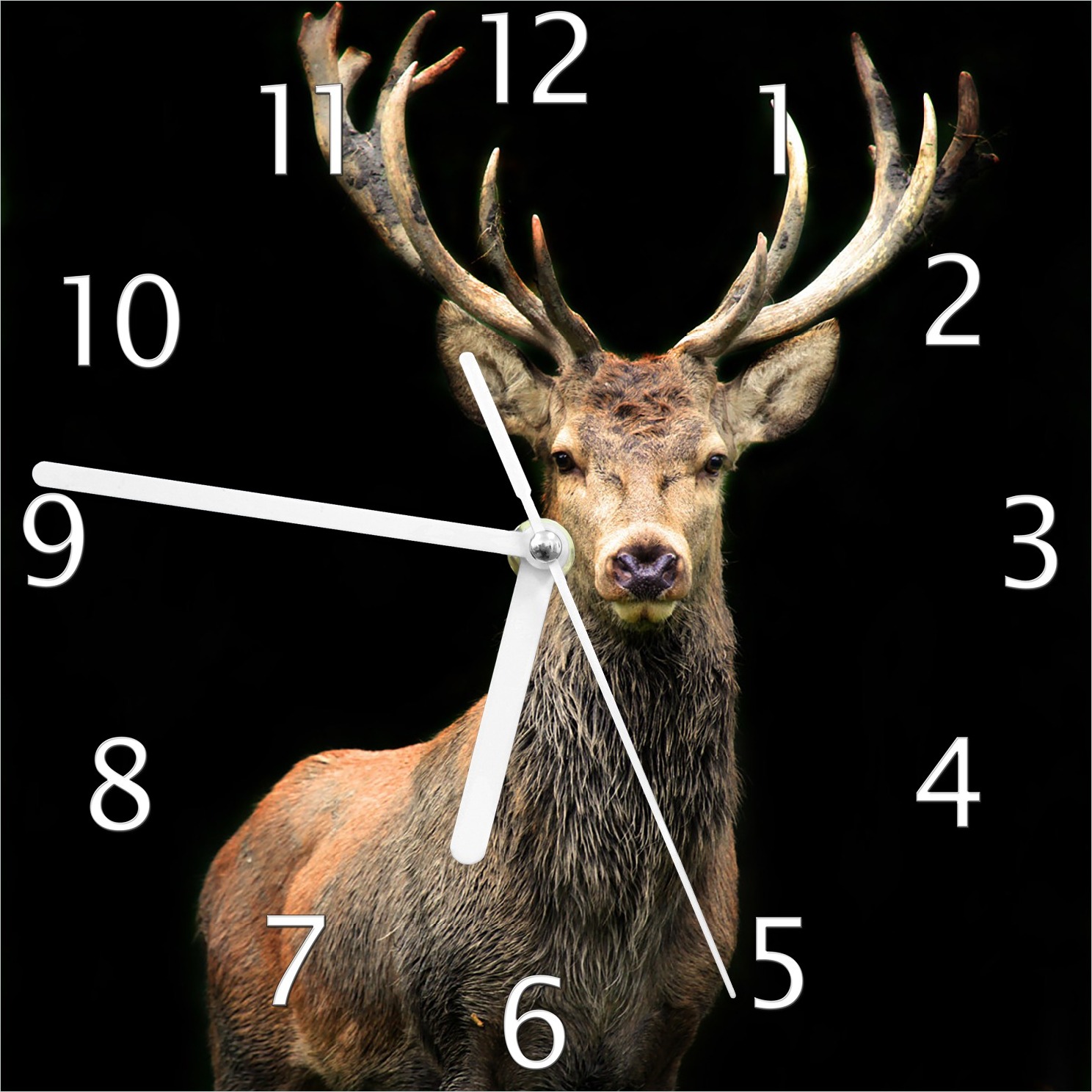 Wallario Design Wanduhr Stattlicher Rothirsch aus Echtglas, Größe 20 x 20 cm guk0314-2020