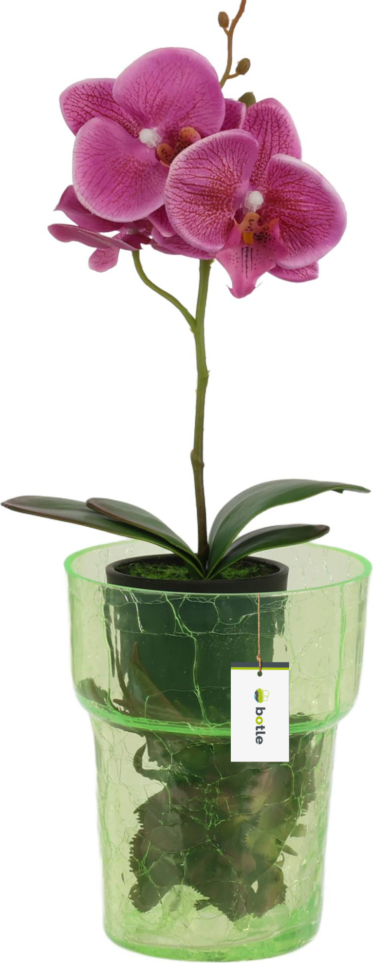 Vaso trasparente per orchidee Mitu Vision al miglior prezzo