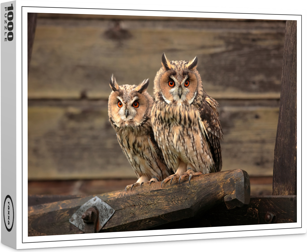 raxxa Premium-Puzzle "Waldohreule", 1000 Teile 1-14270-8955-261