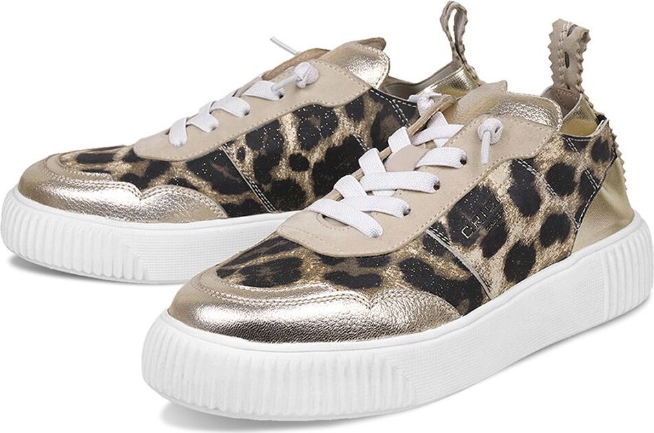 Crickit Damen Schuh Oakli – 40