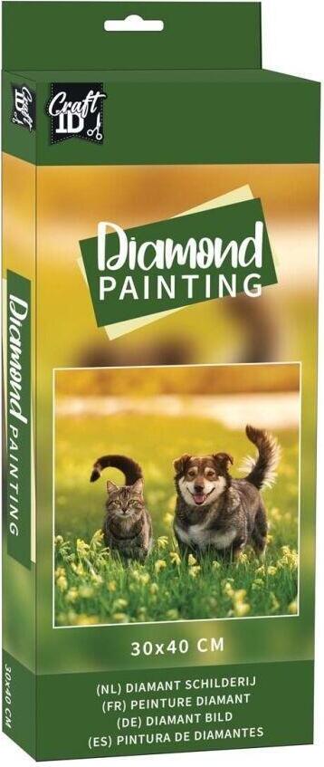 Grafix Diamentowy obraz - Kot i pies 30x40cm