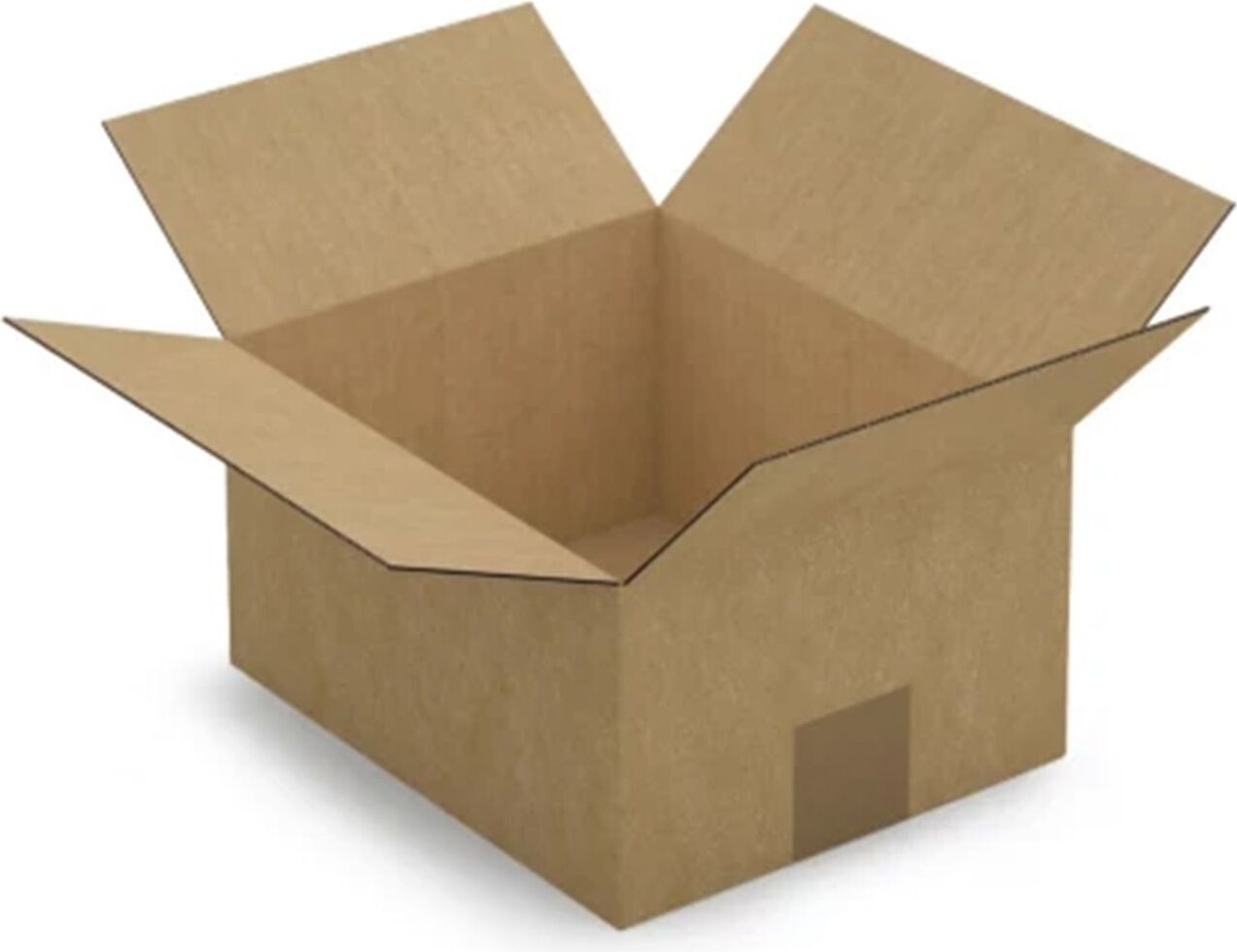raja Verpackungskarton 23 x 19 x 12 cm