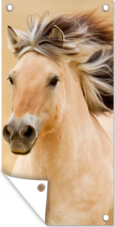 MuchoWow® 40x80 cm Outdoor-Poster Gartendeko Sichtschutz Garten Poster für den Garten Pferde - Tiere - Mähne - Porträt 133|891950561