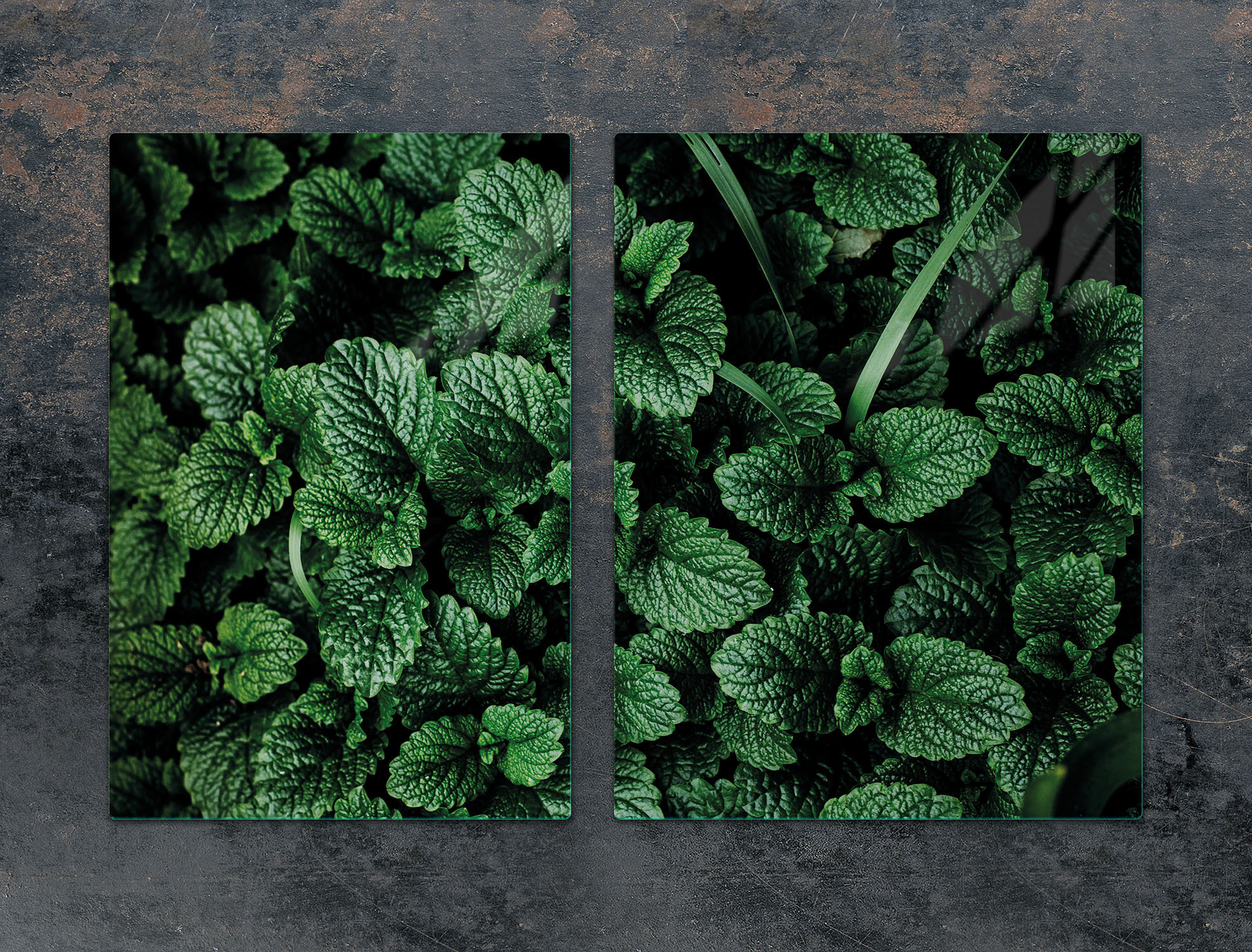 TMK ArtDeko Herdabdeckplatten 2 teilig 75x52 Ceranfeld Abdeckung Glas Schneidebrett Zitronenmelisse Grün