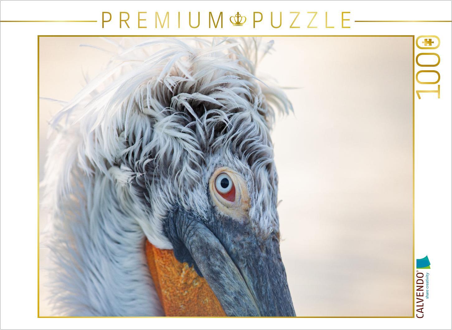 CALVENDO Puzzle Ein Motiv aus dem Kalender Charismatische Vögel | 1000 Teile Lege-Größe 64x48cm Foto-Puzzle für glückliche Stunden