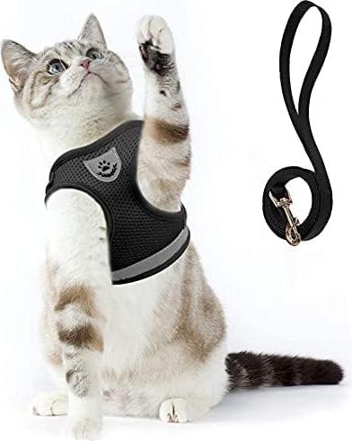 Markenlos Katzengeschirr, unzerbrechlich, Katzenleine mit Geschirr für Katzen, weiches Katzenwesten mit Leine, für Kätzchen, Hunde, Chihuahua (S, schwarz)