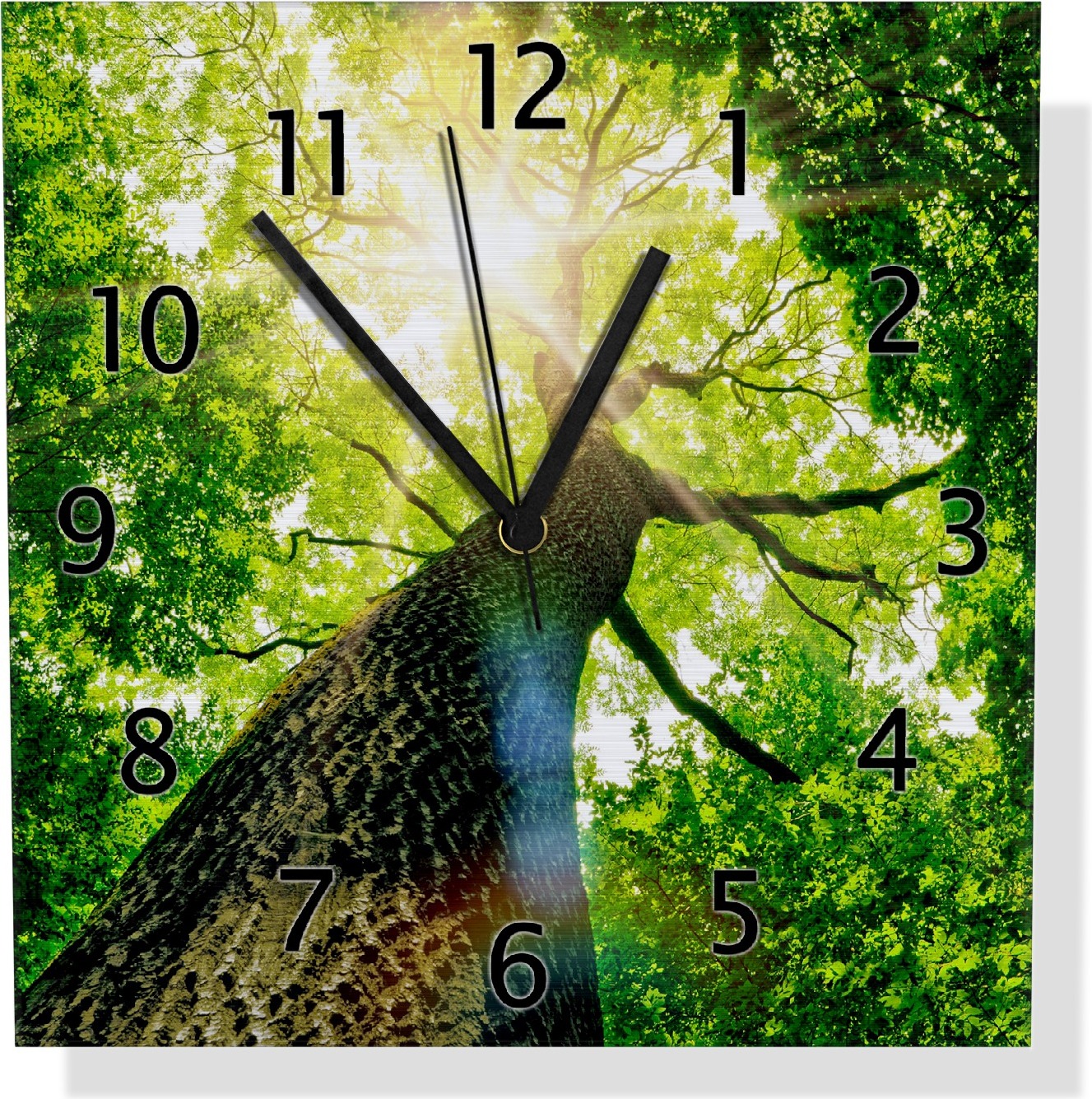 Wallario Design Wanduhr Laubbaum aus der Froschperspektive aus Aluverbund, Größe 30 x 30 cm uds0259-3030