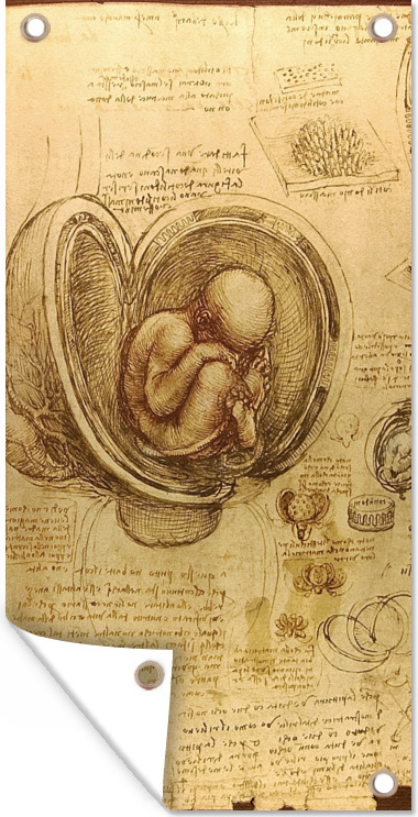 MuchoWow® 40x80 cm Outdoor-Poster Gartendeko Sichtschutz Garten Poster für den Garten Baby im Mutterleib - Leonardo da Vinci 133|313186424