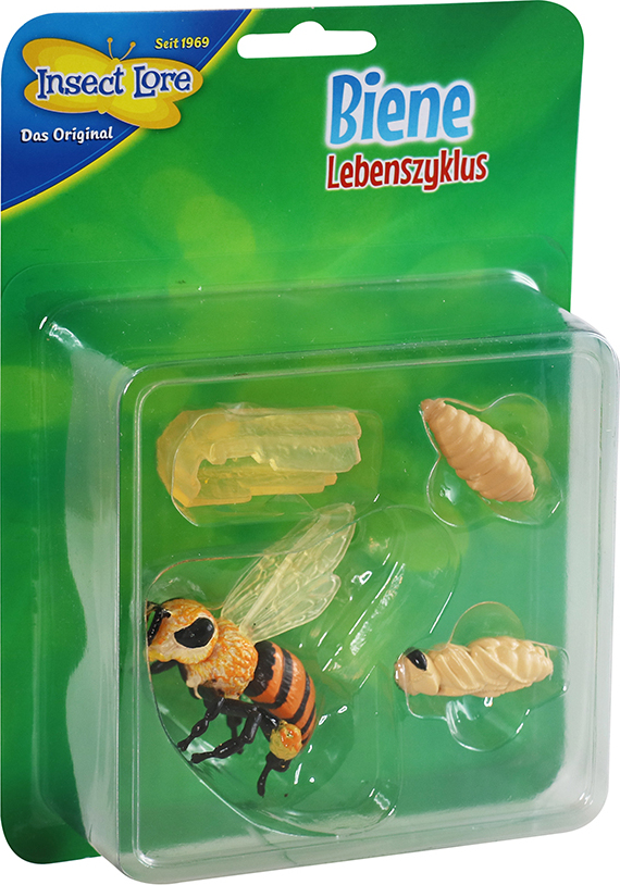 Insect Lore Lebenszyklus Marienkäfer – 4-teiliges Set Aus Kunststoff (Eier, Larve, Puppe, Marienkäfer), Bunt, Für Kinder