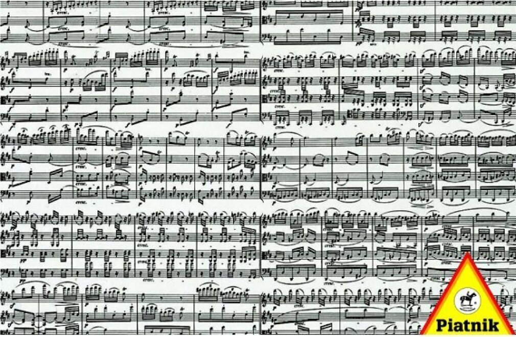 Piatnik Puzzle 1000 Elemente. Anmerkungen 5434