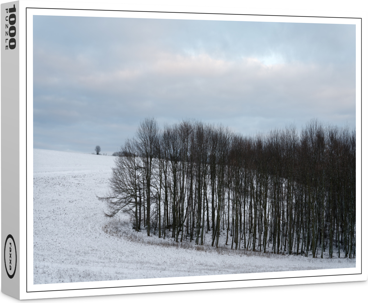 raxxa Premium-Puzzle "Winterabend im Osterzgebirge", 1000 Teile 1-14270-6918-218
