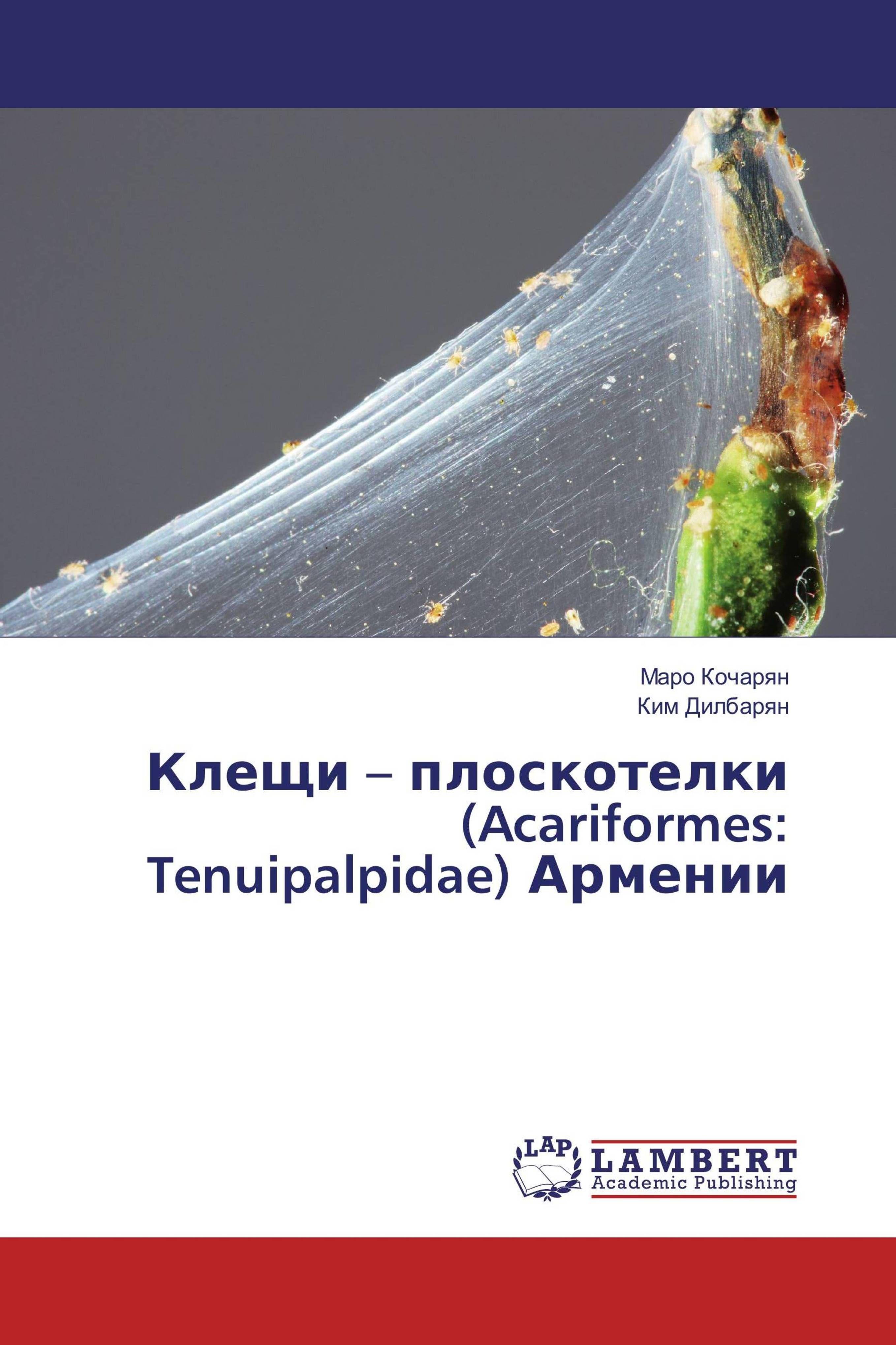 Sonstige Verlage Kleschi - ploskotelki (Acariformes: Tenuipalpidae) Armenii