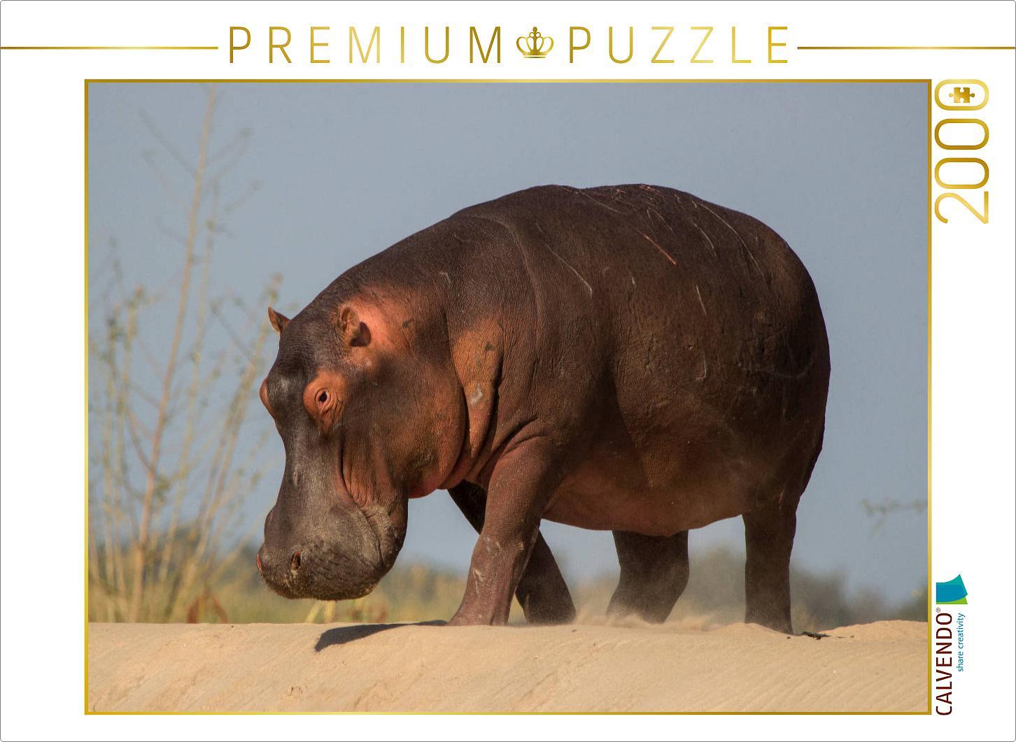 CALVENDO Puzzle Auf dem Wege in den Sambesi - im Lower Sambesi National Park 2000 Teile Puzzle quer | 2000 Teile Lege-Größe 90x67cm Foto-Puzzle für glückliche Stunden