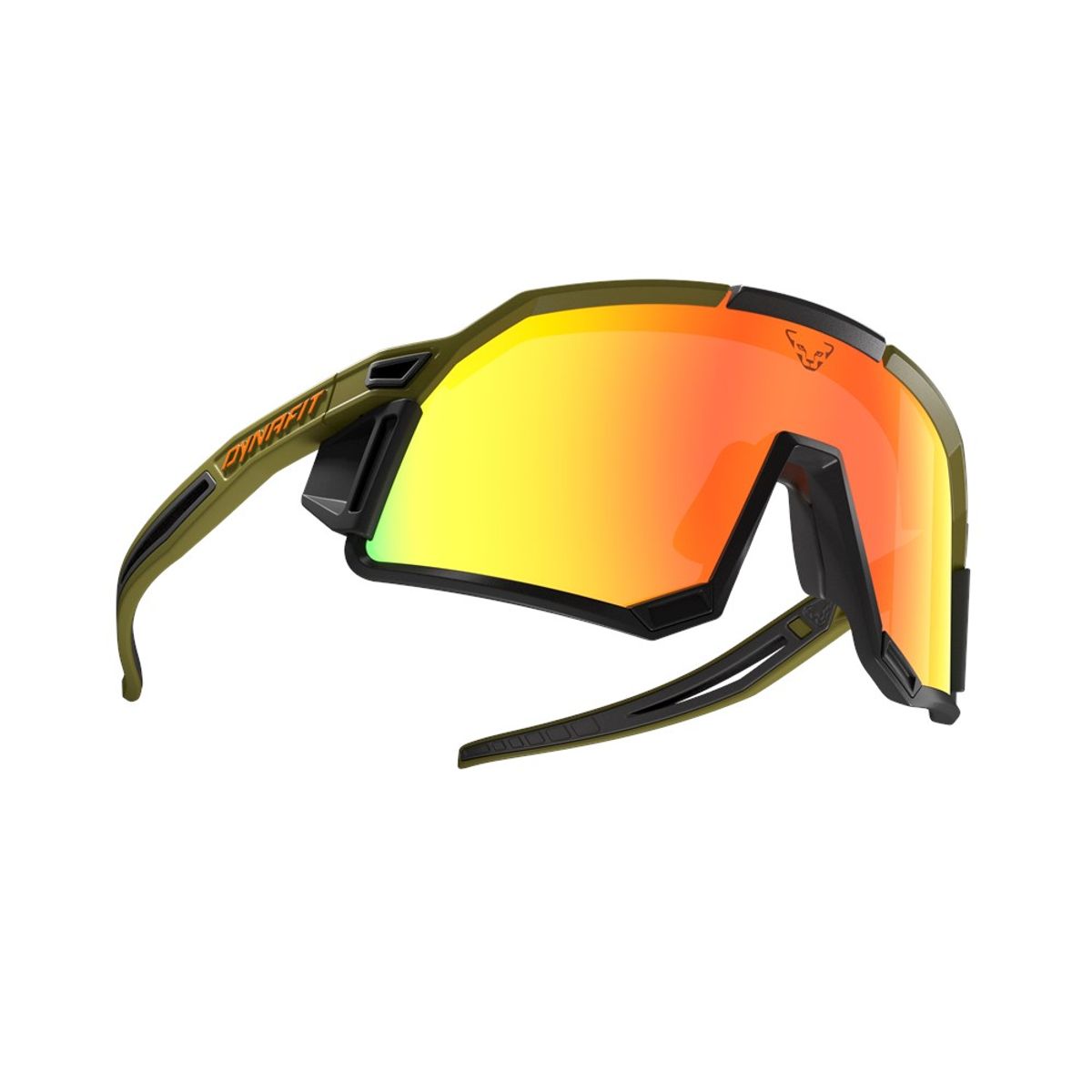 Sportbrille DYNAFIT Sky EVO Winter Moss Grün 08-0000049916-5890-UNI