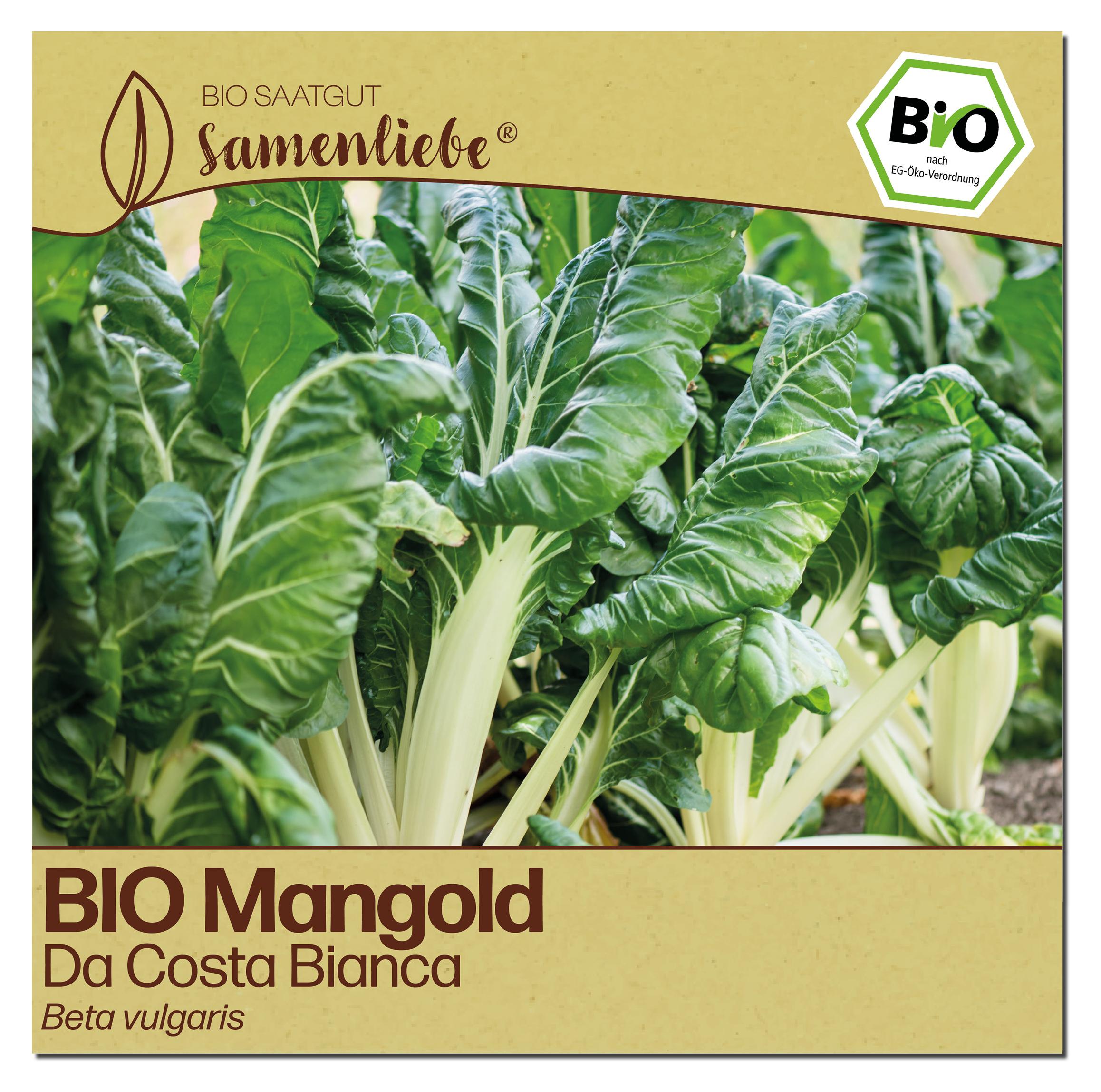 Samenliebe Mangold Samen | Da Costa Bianca - winterhart &