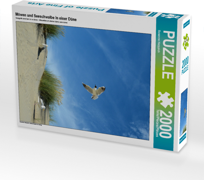 CALVENDO Puzzle Möwen und Seeschwalbe in einer Düne 2000 Teile Puzzle hoch | 2000 Teile Lege-Größe 90x67cm Foto-Puzzle für glückliche Stunden