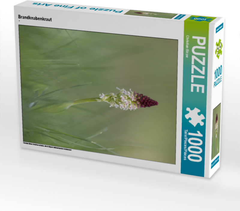 CALVENDO Puzzle Brandknabenkraut 1000 Teile Puzzle hoch | 1000 Teile Lege-Größe 64x48cm Foto-Puzzle für glückliche Stunden