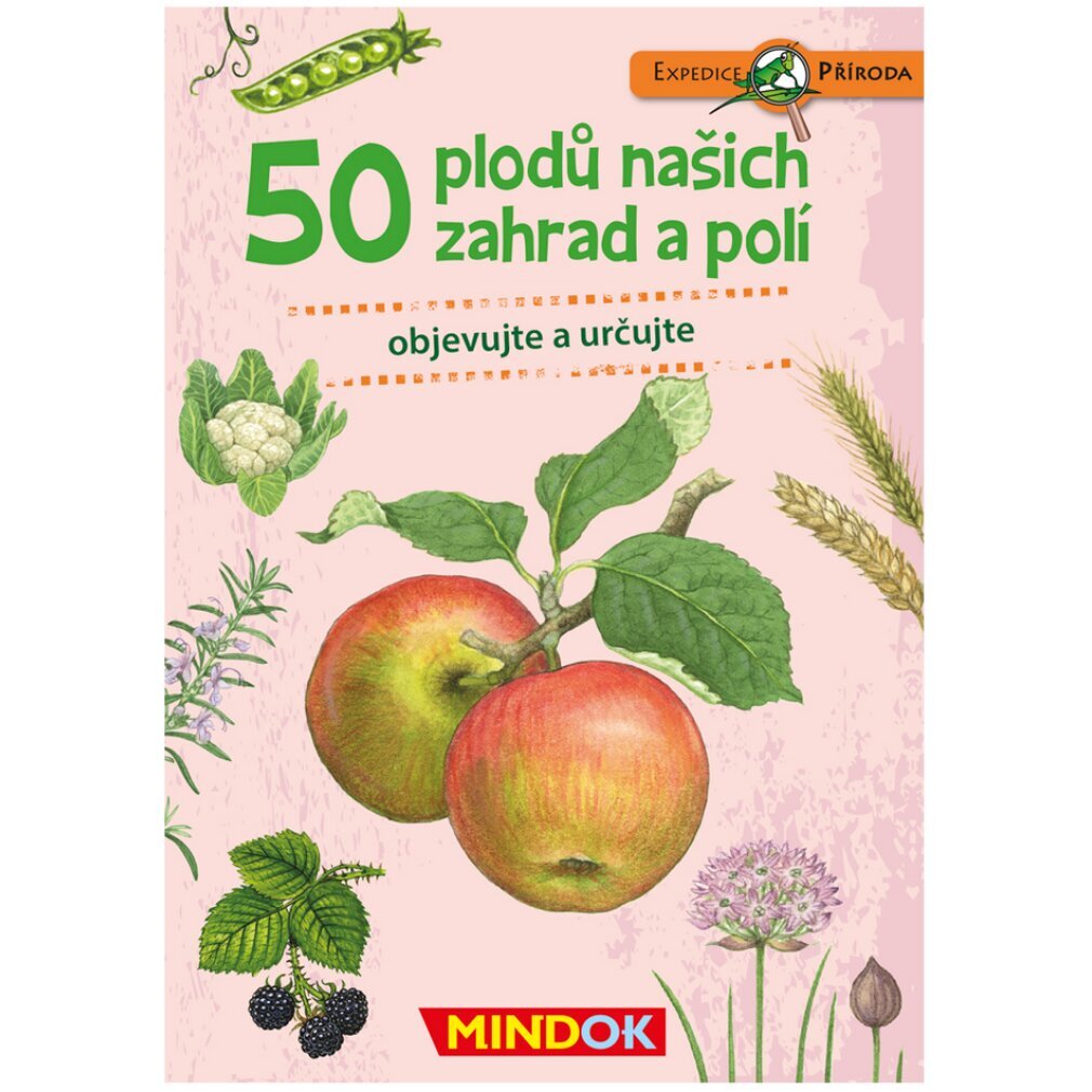 MINDOK Naturexpedition: 50 Frü chte aus unseren Gä rten und Feldern P265019