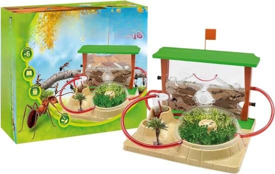 Merkloos Ameisenfarm - Ameisennest - Ameisenhaus - Ameisenhotel - Ameisenkolonie - Premium 102899-0