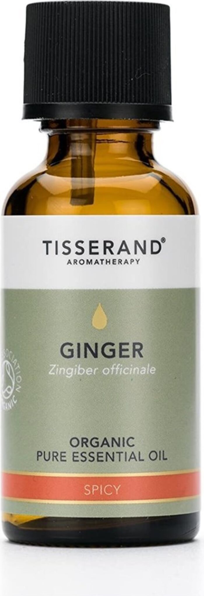 Ingwer -Ingweröl 30 ml TISSERAND 5702